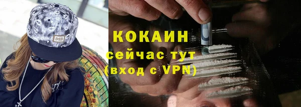 соль ск Артём